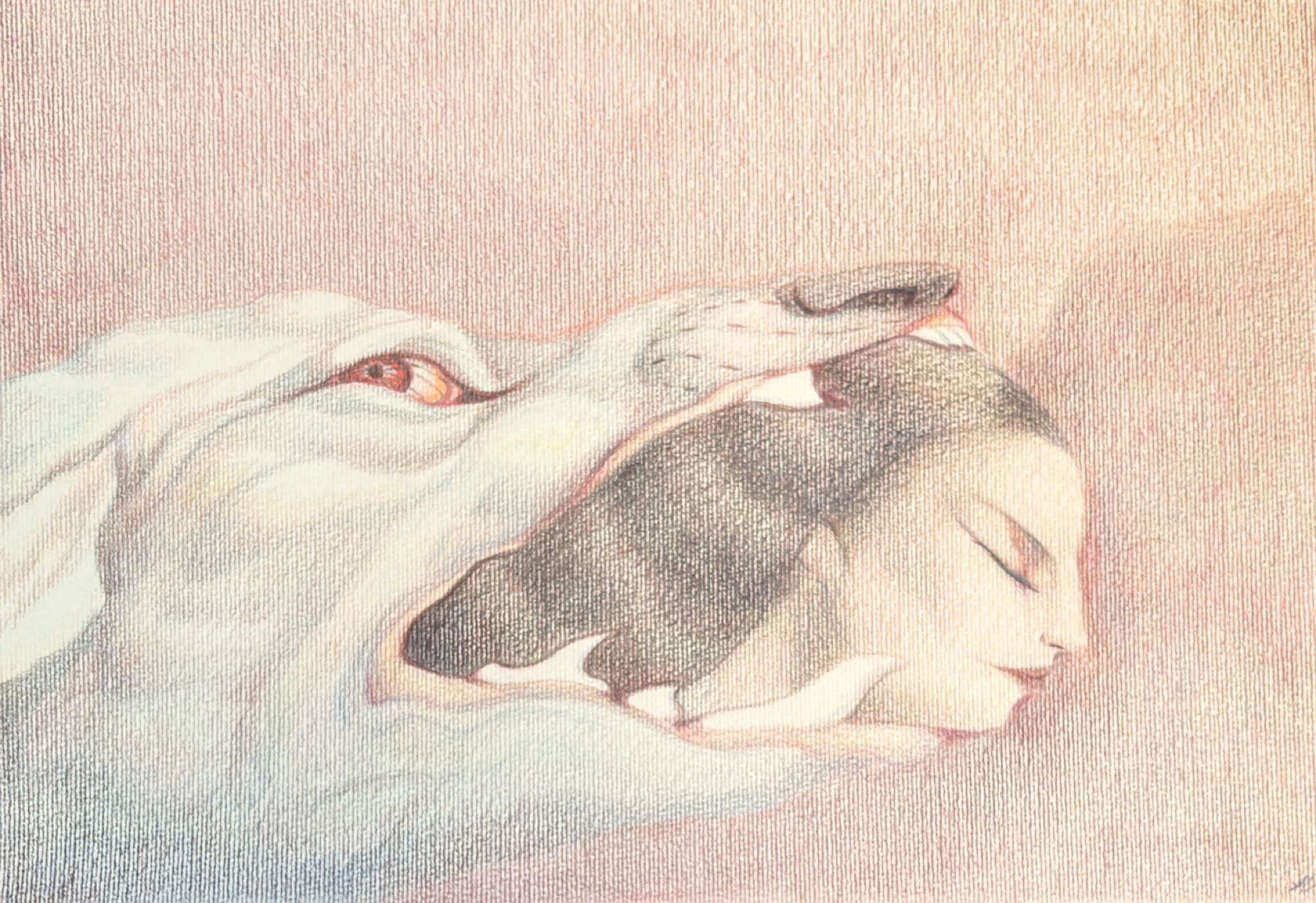 L'emprise